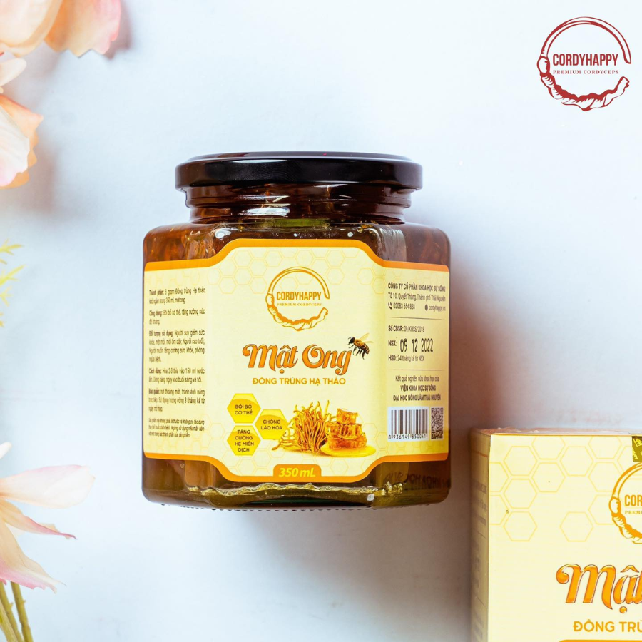 Bộ quà tặng Đông Trùng Hạ Thảo - Hộp 3 Xanh 3
